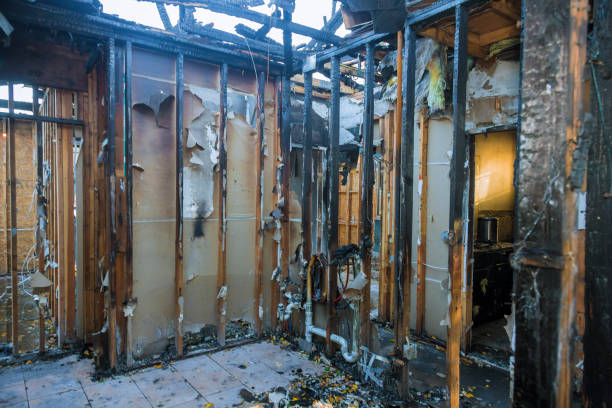 Professional Fire Damage Removal technician working in Reeds Spring, MO